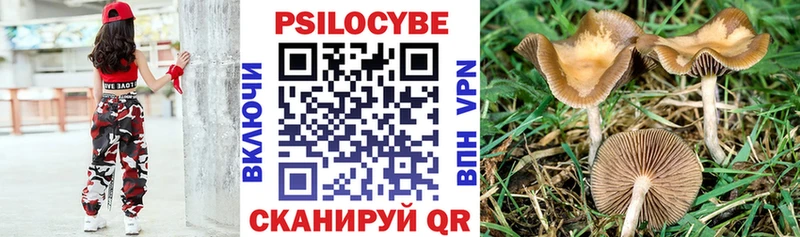 Купить Алупка Псилоцибиновые грибы Cubensis